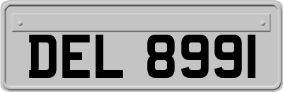 DEL8991