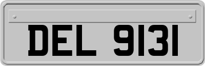 DEL9131