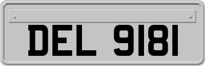DEL9181