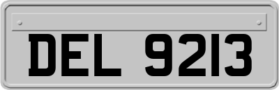 DEL9213