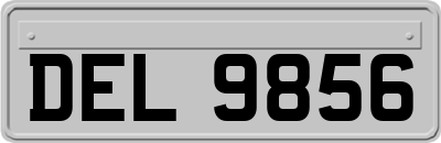 DEL9856