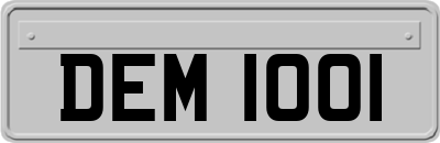 DEM1001