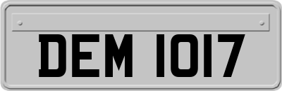 DEM1017