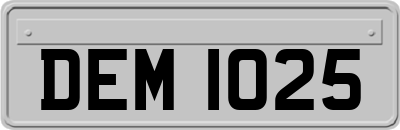 DEM1025