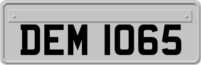 DEM1065