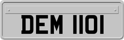 DEM1101
