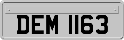 DEM1163