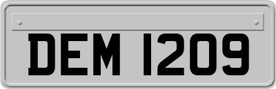 DEM1209
