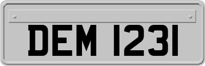 DEM1231