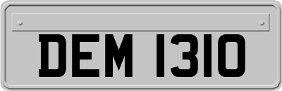 DEM1310