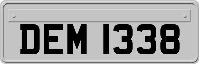 DEM1338