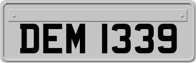 DEM1339