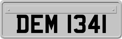 DEM1341