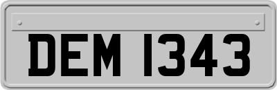 DEM1343