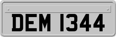 DEM1344