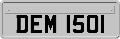 DEM1501