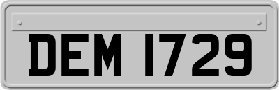 DEM1729