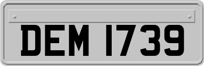 DEM1739