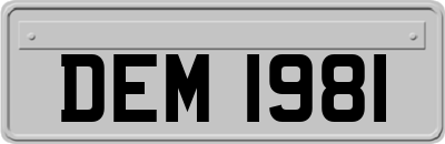 DEM1981