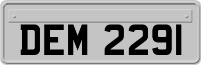 DEM2291