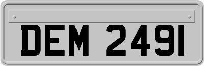 DEM2491