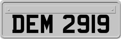 DEM2919