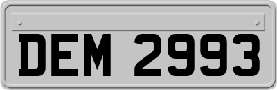 DEM2993