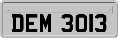 DEM3013
