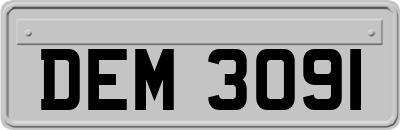 DEM3091