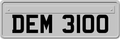 DEM3100