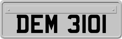 DEM3101