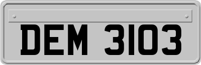 DEM3103