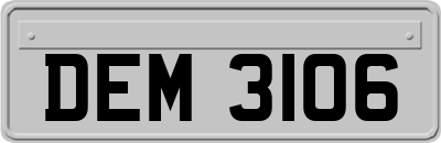 DEM3106