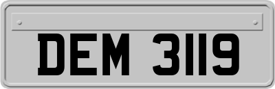DEM3119