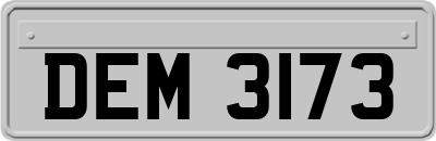 DEM3173