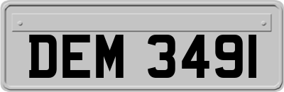 DEM3491