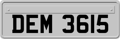 DEM3615