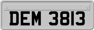 DEM3813