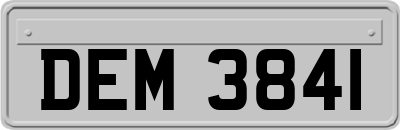 DEM3841