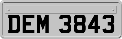 DEM3843