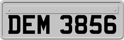 DEM3856