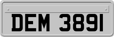 DEM3891