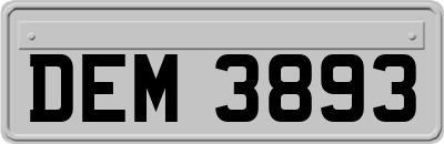 DEM3893