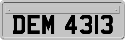 DEM4313