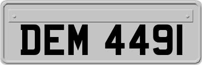 DEM4491