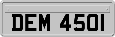 DEM4501