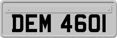 DEM4601