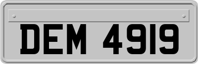 DEM4919