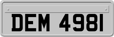 DEM4981