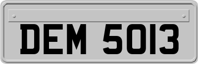 DEM5013